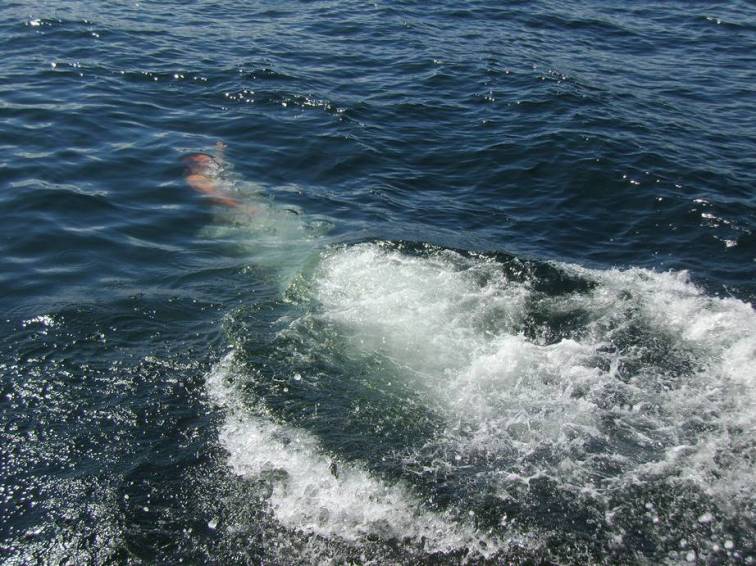 august 24, 2014 076b