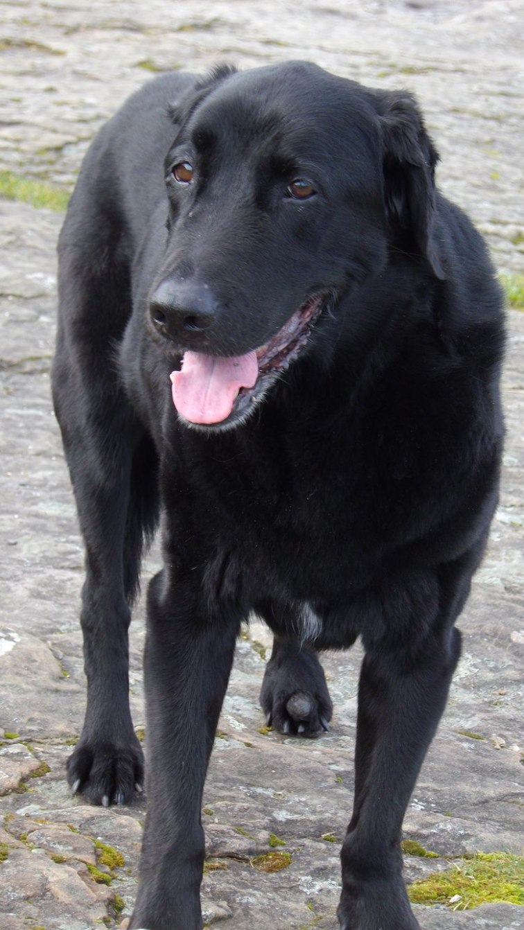 dixie march 13, 411pm 015b