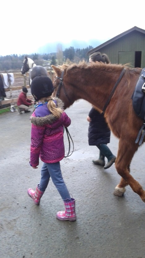 january 24, 2016 031b